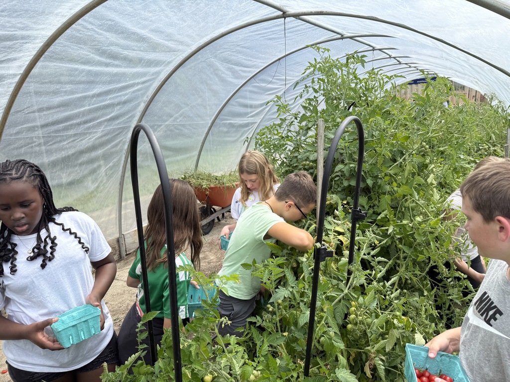 students in the garden