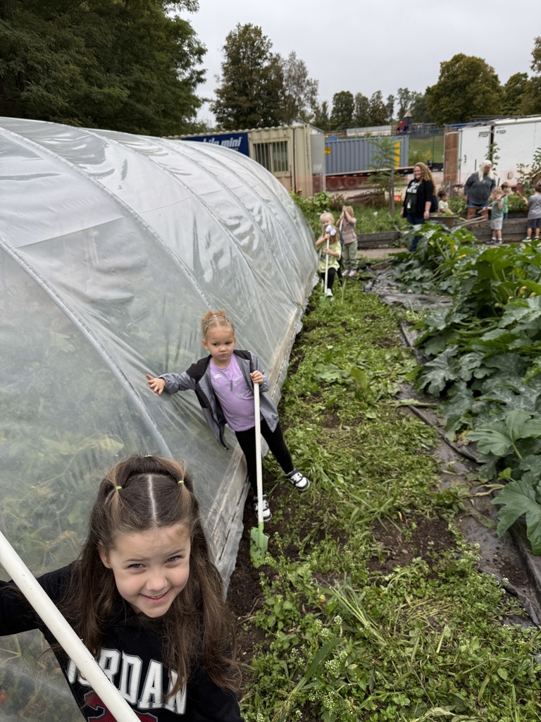 Students digging in garden