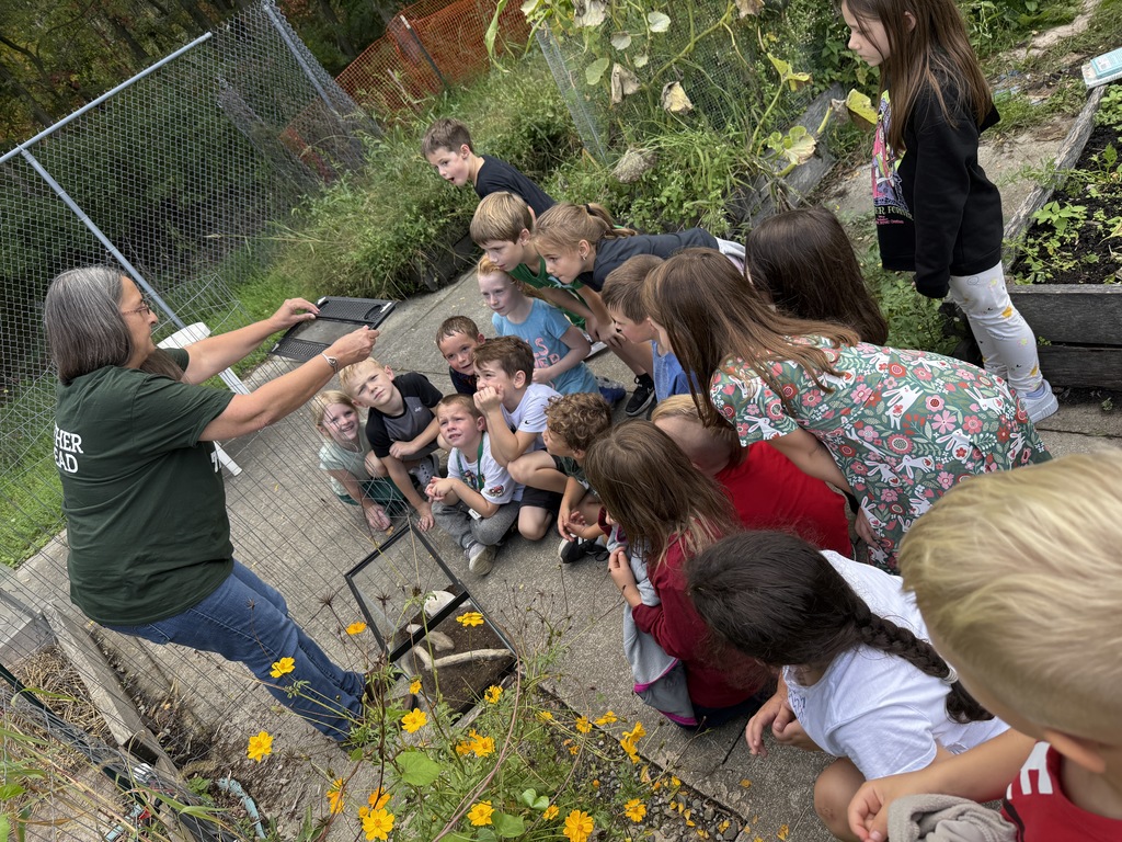 students looking at monarch butterfly