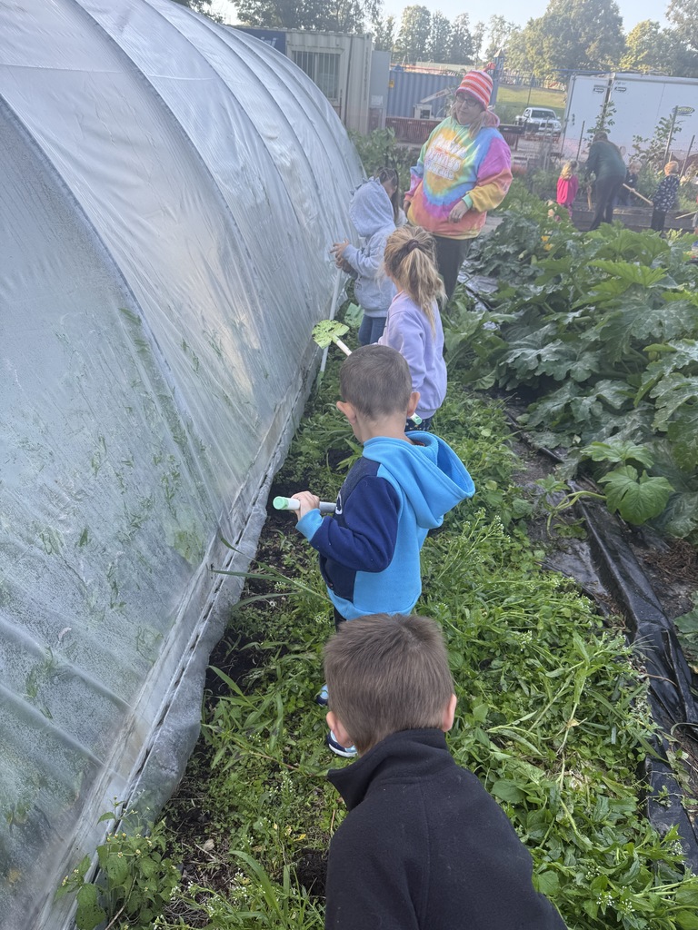 students digging in garden