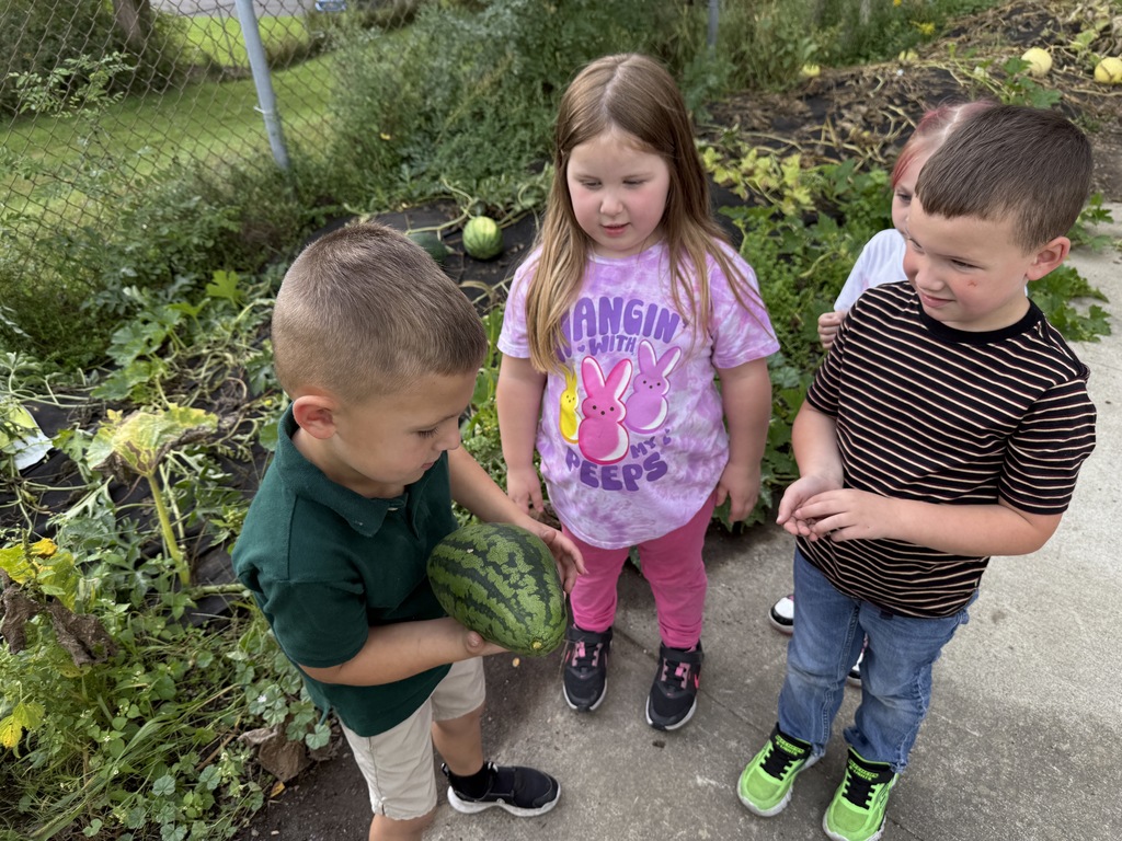 students looking at watermelon