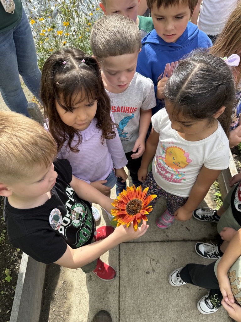 group of students looking at flower