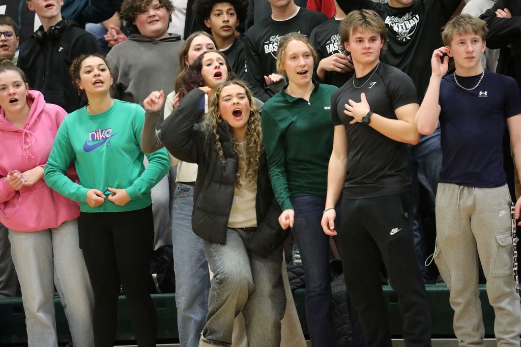 the audience cheering the team on