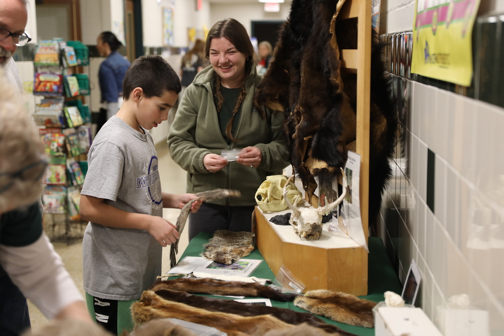 a student looking at furs