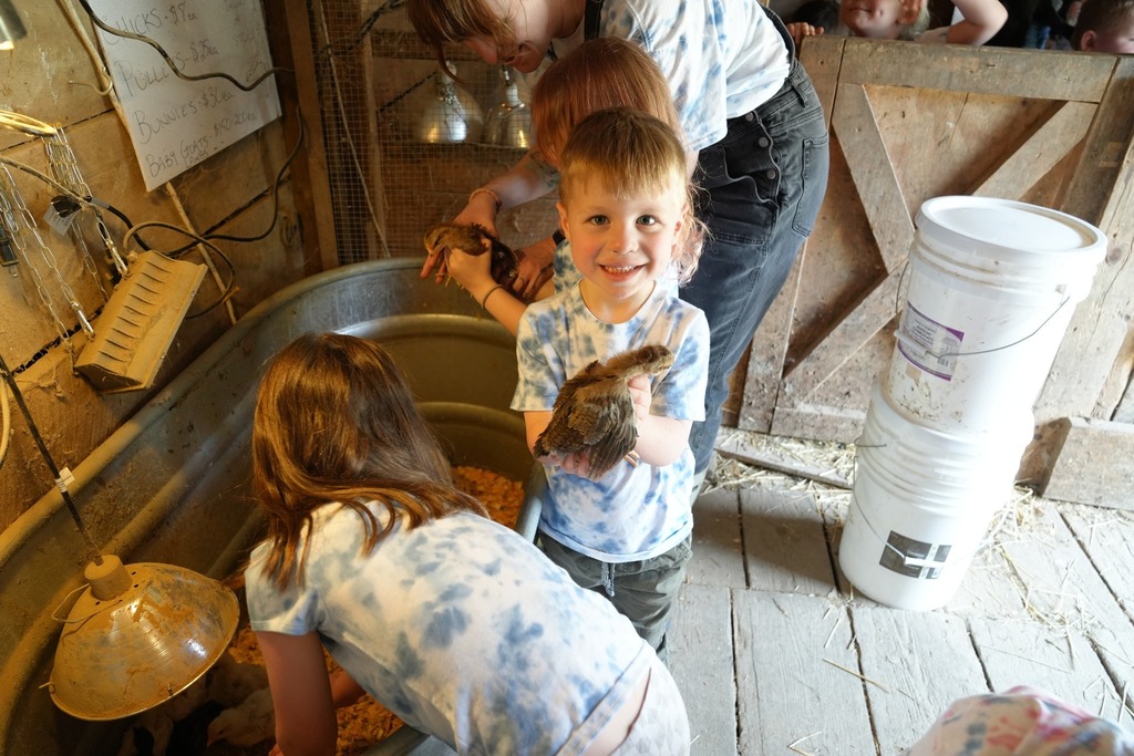 Pre-K students holding baby chicks inside the barn while exploring the farm.