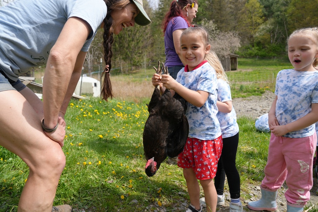 Pre-K student smiling while carefully holding a chicken upside down during a farm visit as classmates watch nearby.