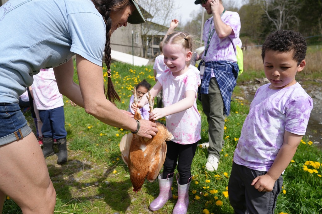 Pre-K students learning how to safely hold a chicken upside down with guidance from a farm educator.