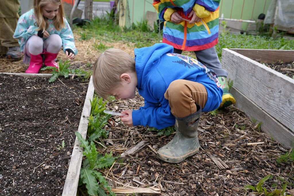 a student looking at the ground with a magnifying glass