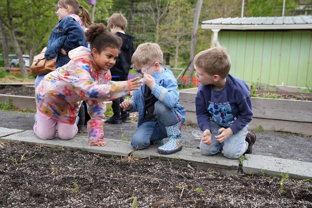 three students working with magnifying glasses in the garden