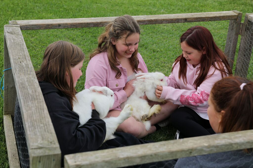 three students holding and petting white rabbits