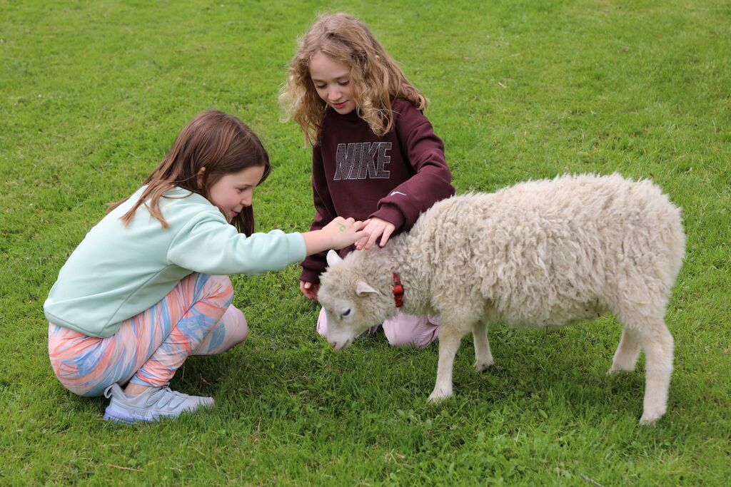 two students petting a sheep