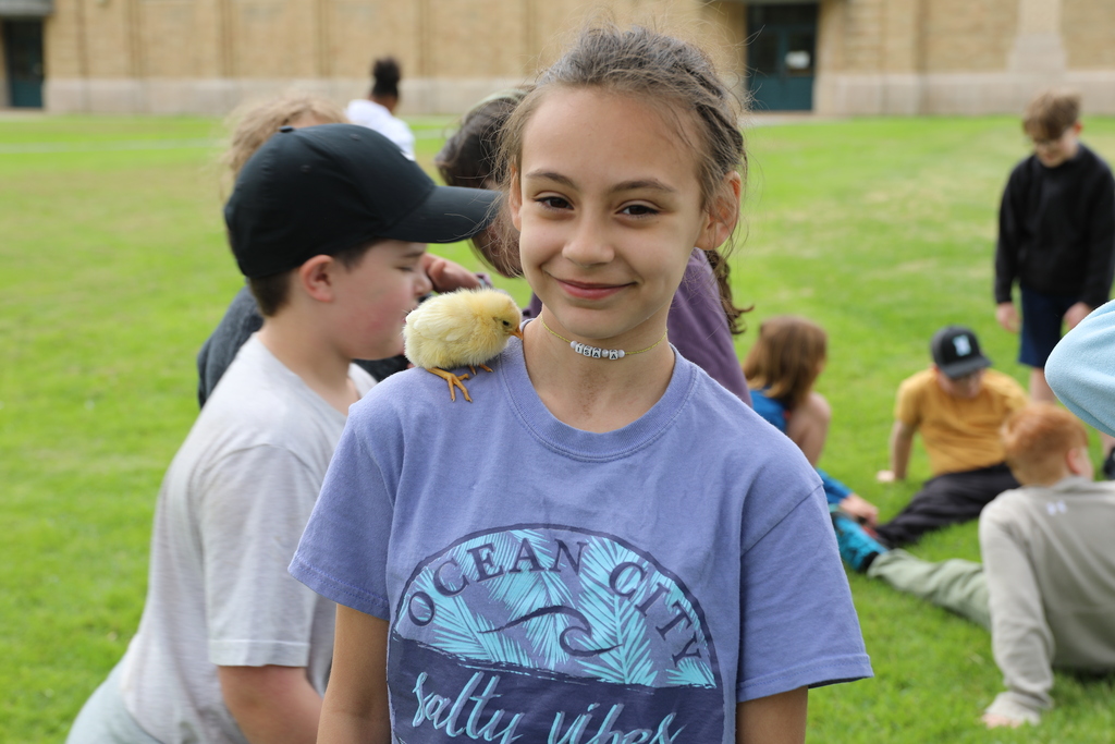 a student with a baby chick on their shoulder