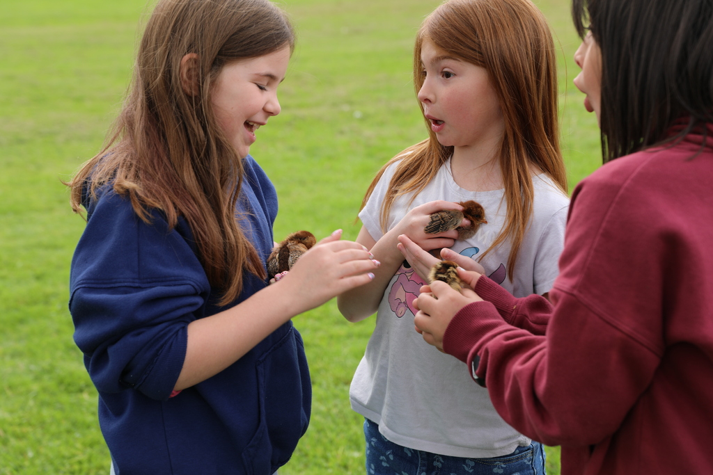 three students holding baby chicks and reacting to them