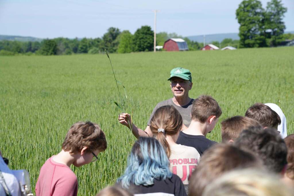 A farmer stands in a wheat field holding a stalk of wheat while teaching fifth grade students about grain production.