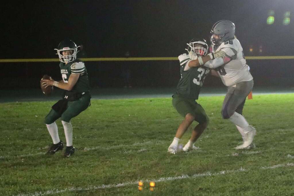 a football quarter back about to throw the ball