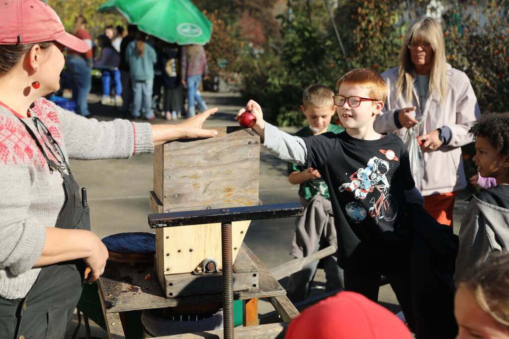 a student putting an apple into the apple press