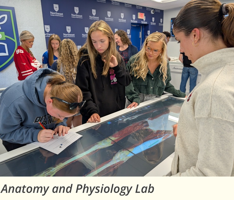 Anatomy and Physiology Lab