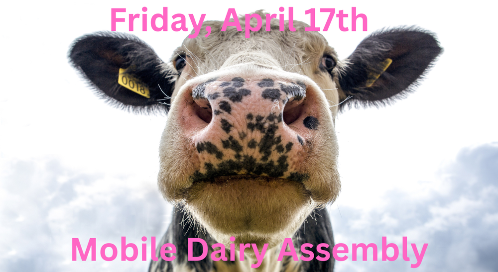 Mobile Dairy Assembly
