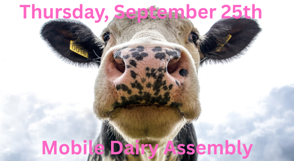 Mobile Dairy Assembly