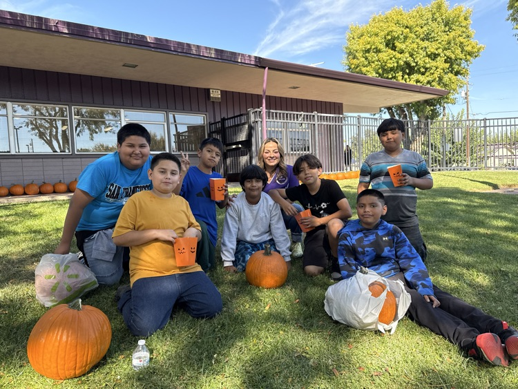 pumpkin patch