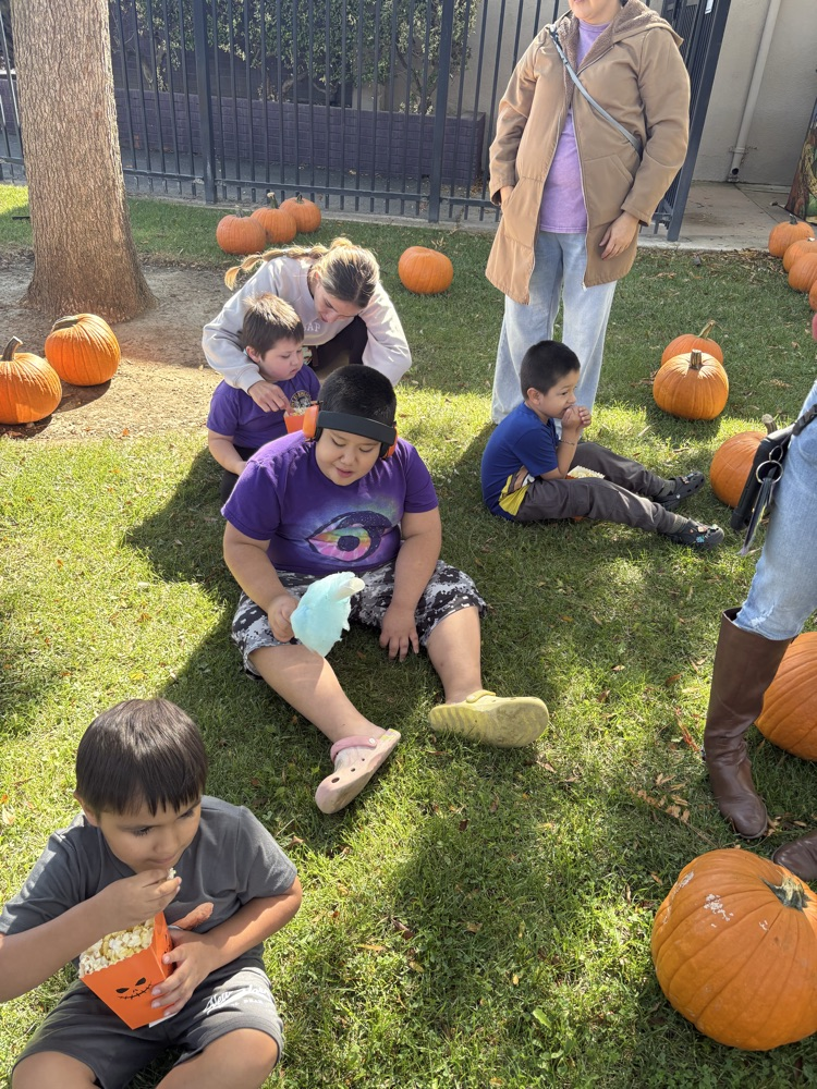 pumpkin patch