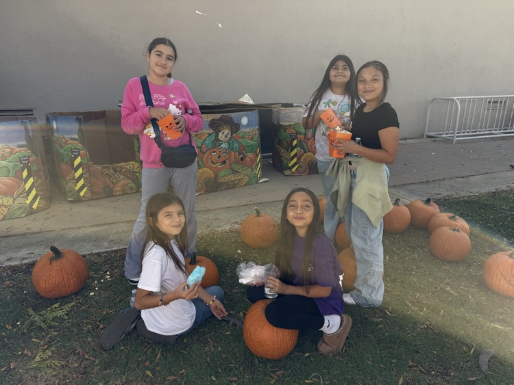 pumpkin patch
