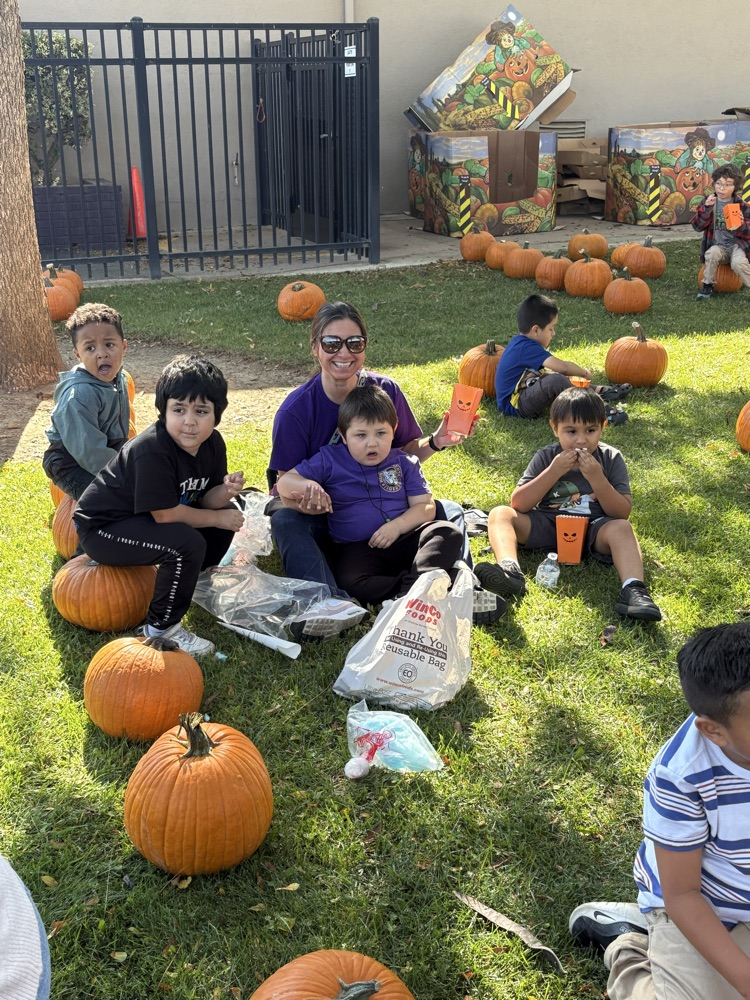 pumpkin patch