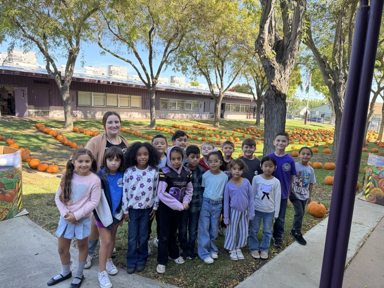 pumpkin patch