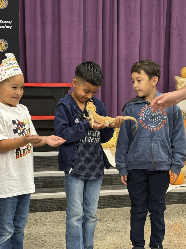 Reptile Ron Assembly