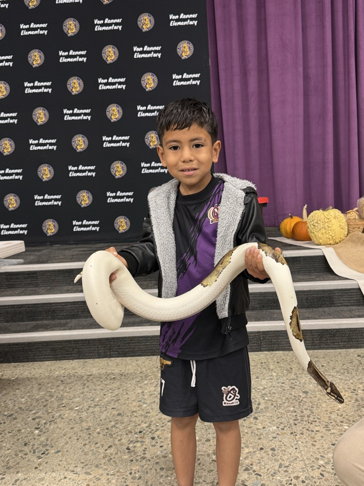 Reptile Ron Assembly