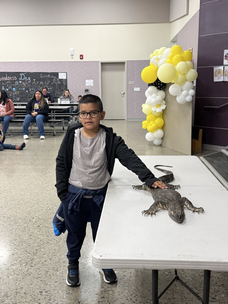 Reptile Ron Assembly