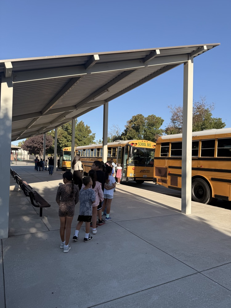 students going on the bus