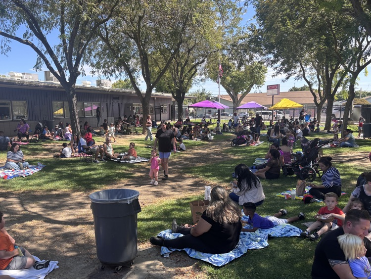 Family Picnic