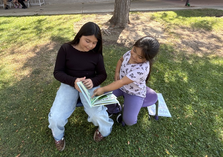 Buddy Reading