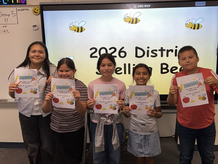 Top 5 Spellers 🐝 