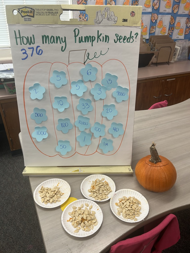 pumpkin fun