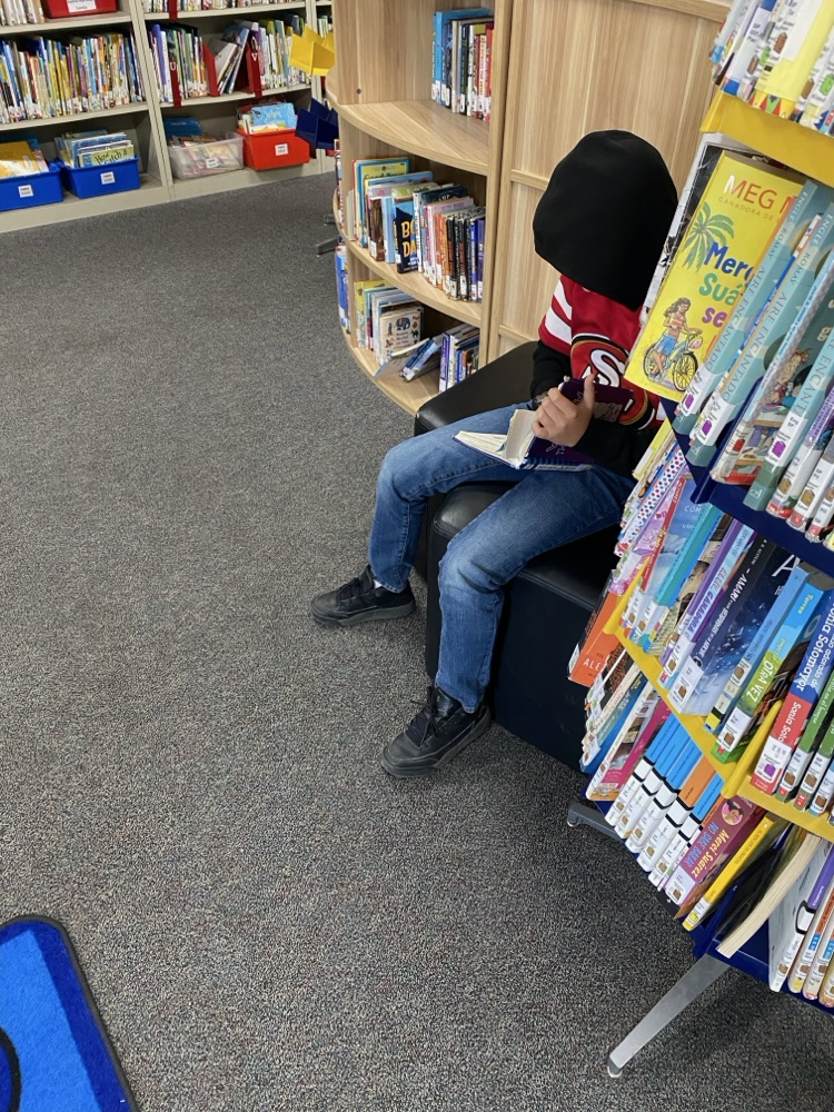library fun