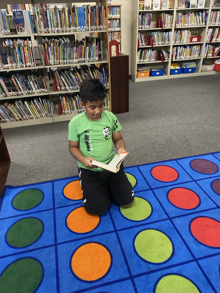 library fun