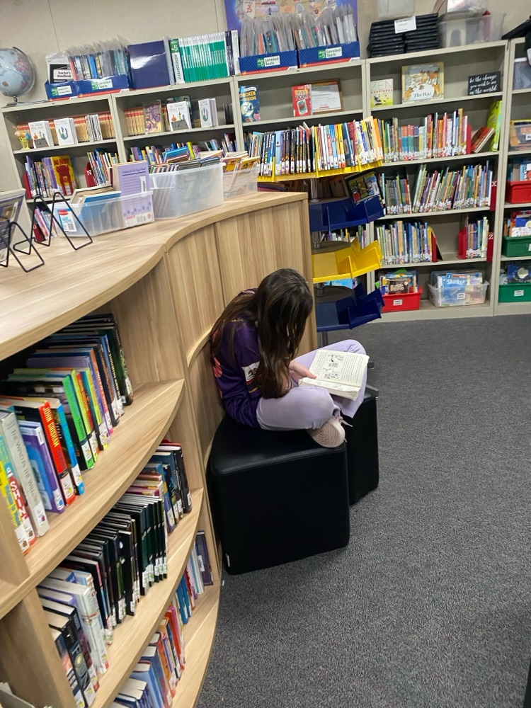 library fun
