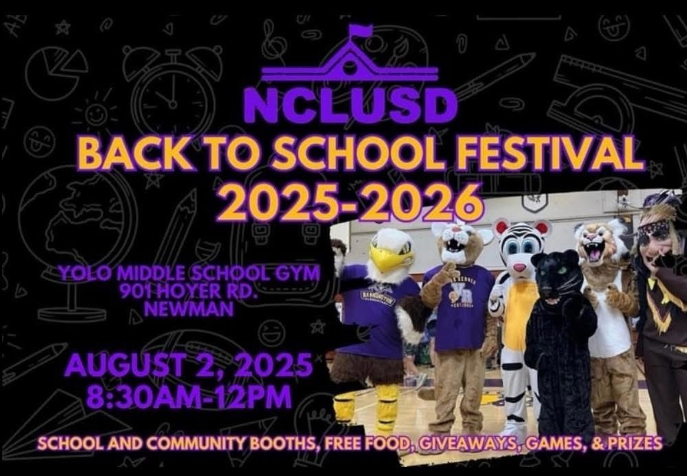 Back to School Festival