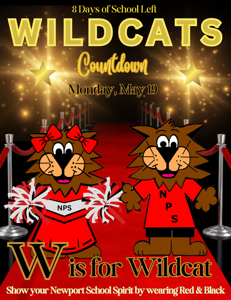 Wildcat Spirit Day