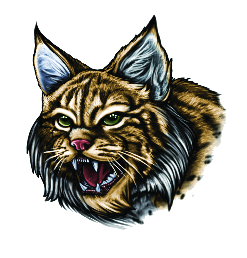 Wildcat Logo