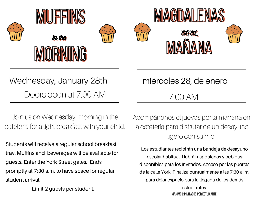 Muffins in the Morning