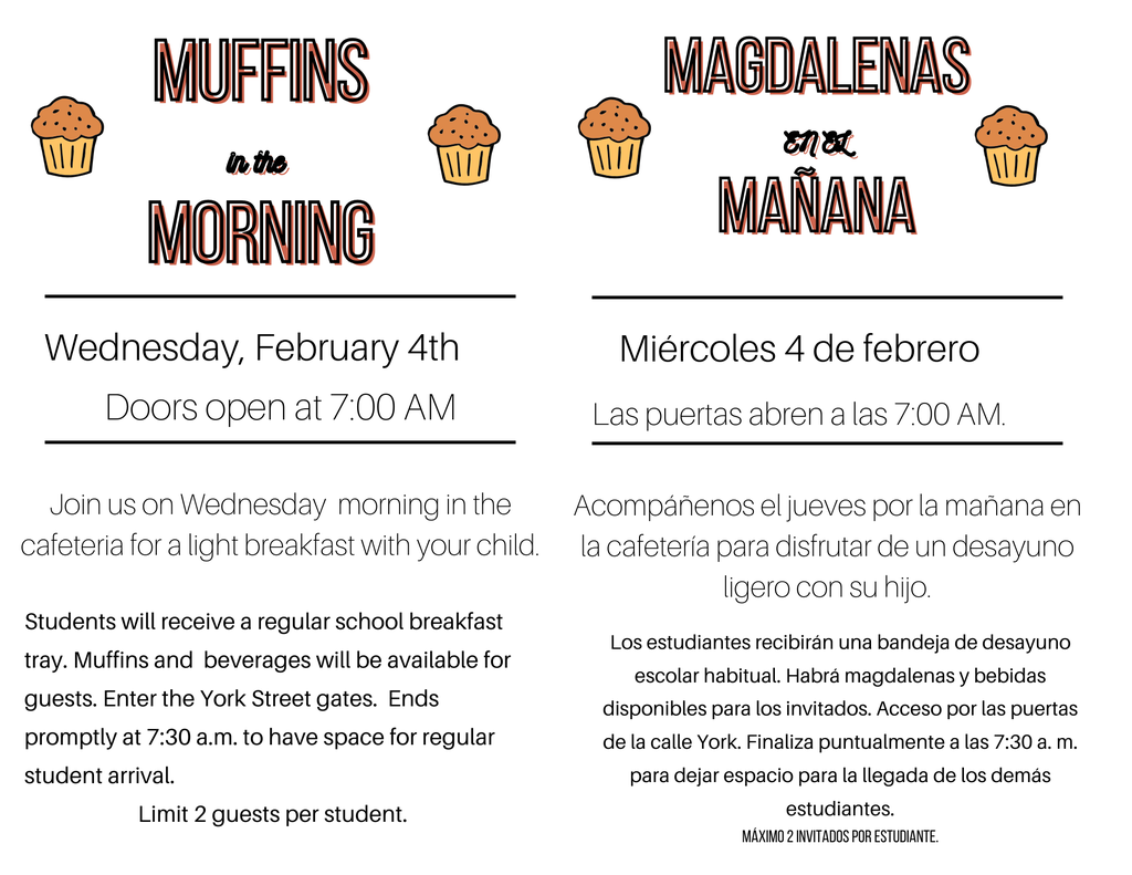 Muffins in the Morning