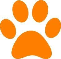Tiger paw