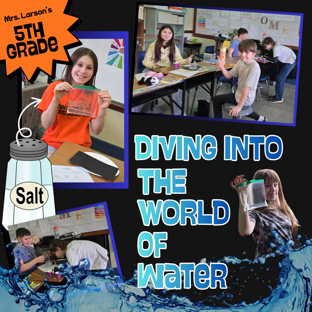 Diving into the World of Water