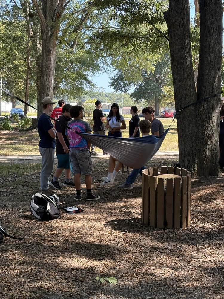 Students in hammock