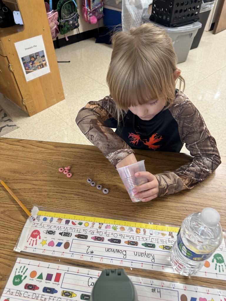 Kinders Sorting