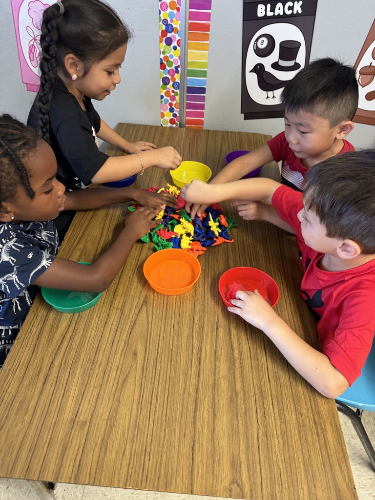 Kinders Sorting