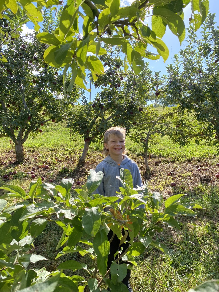 Mrs. King's class at Perry Lowe Orchard